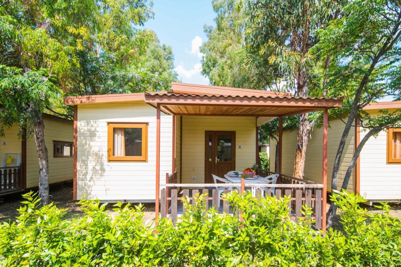 Camping Le Palme Marina Di Bibbona Dış mekan fotoğraf