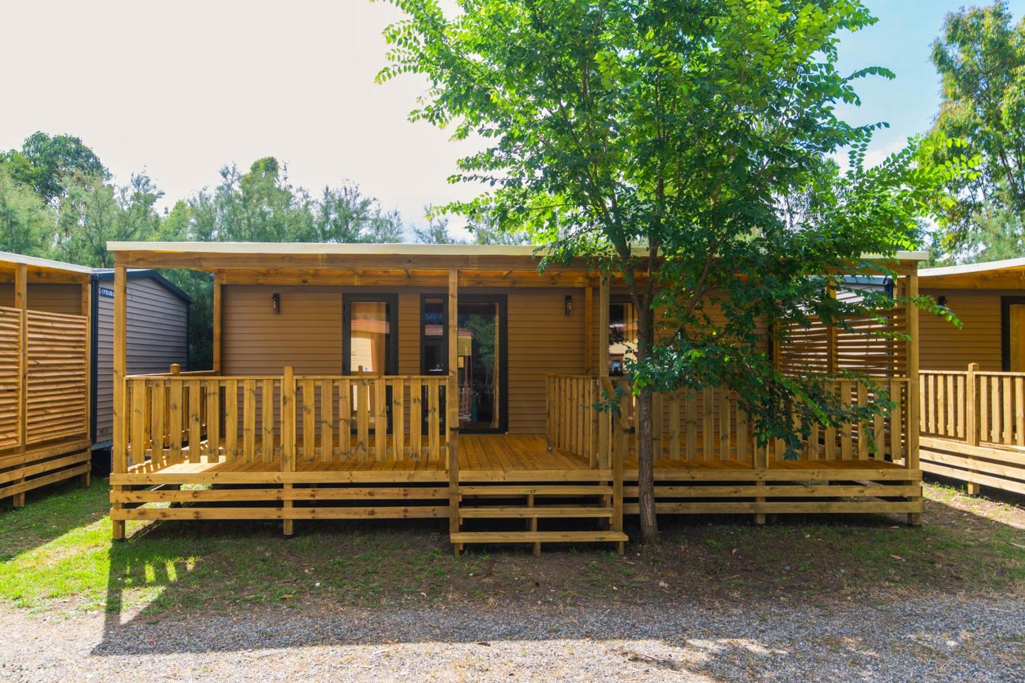 Camping Le Palme Marina Di Bibbona Dış mekan fotoğraf